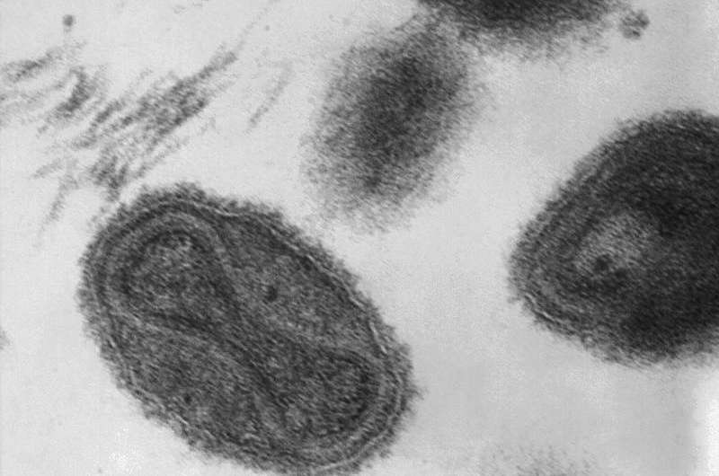 Scientists learn how poxviruses defeat the body's host defense