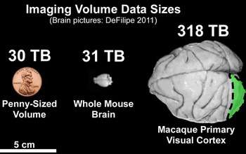 Speeding up extreme big brain data analysis