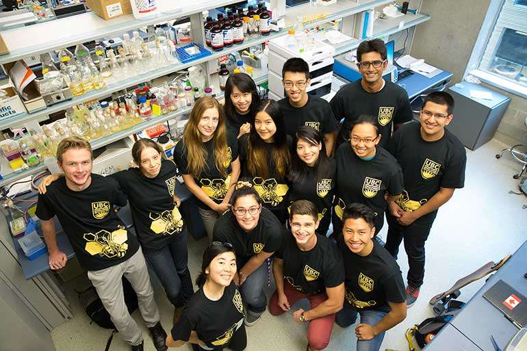 Students develop probiotic to protect bees from neonicotinoids