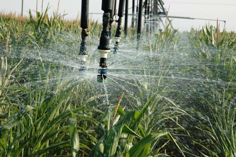 Technologies will tackle irrigation inefficiencies in agriculture's drier future