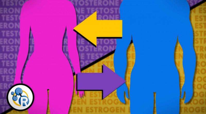 The chemistry of gender transitions (video)