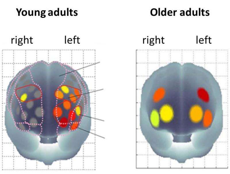 The secret to a younger brain may lie in exercising your body