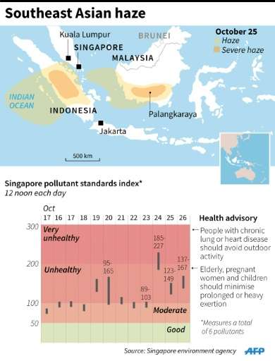 The Southeast Asian haze