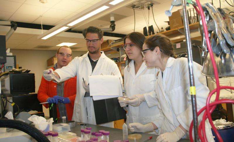 Utah State University biologists report breakthrough in aqueous method for synthetic spider silk production