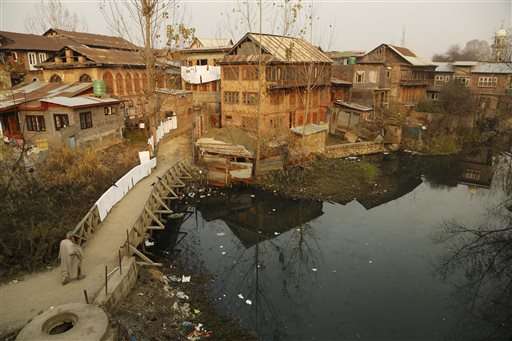Warmer days, wetland loss put Kashmir bird migration at risk