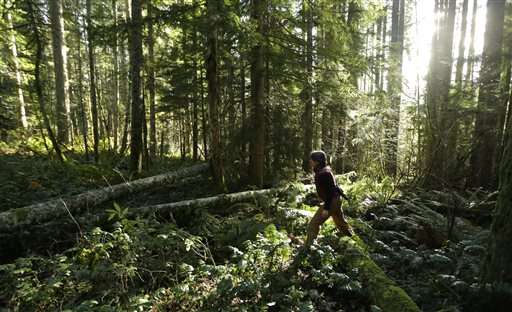 Washington project ensures forest stores carbon for decades