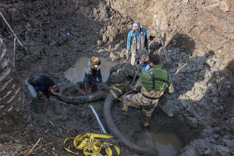 Washtenaw County mammoth find hints at role of early humans