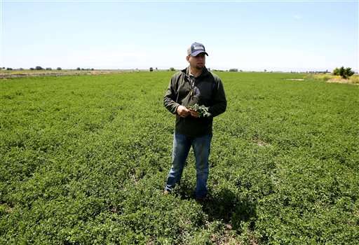 California farmers agree to drastically cut water use