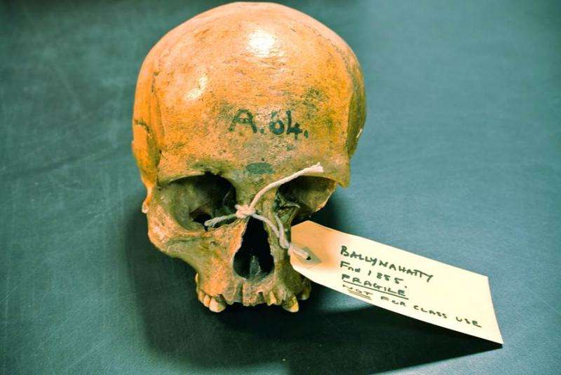 Scientists sequence first ancient Irish human genomes