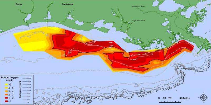 2015 Gulf of Mexico dead zone ‘above average’