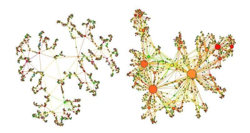 Understanding of complex networks could help unify gravity and quantum mechanics