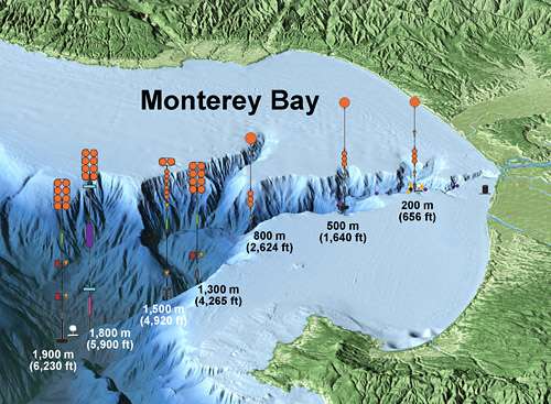 International experiment tracks underwater avalanches in Monterey Canyon