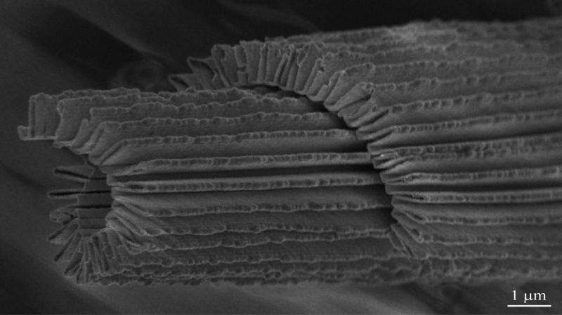 Researchers create transparent, stretchable conductors using nano-accordion structure