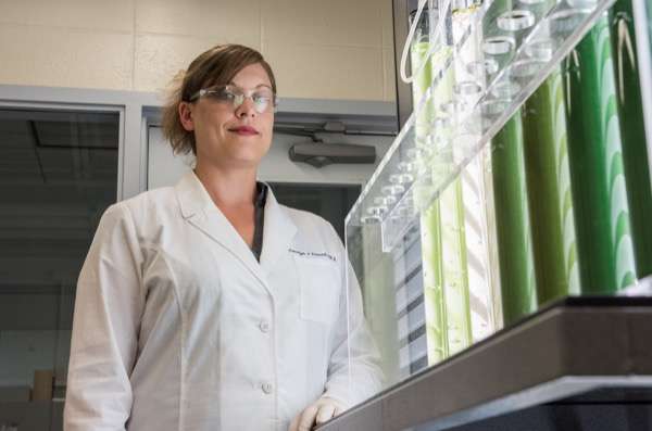 Scientist's research shows promise in creating sustainable algae-based biofuels