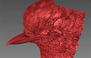 Citizen scientists needed to map 3D scans to solve puzzle of bird bill evolution
