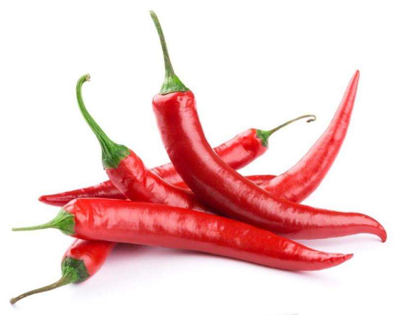 Researchers uncover pain-relief secrets in hot chili peppers