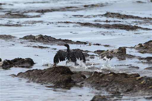 California oil spill gushed like hose 'without a nozzle'