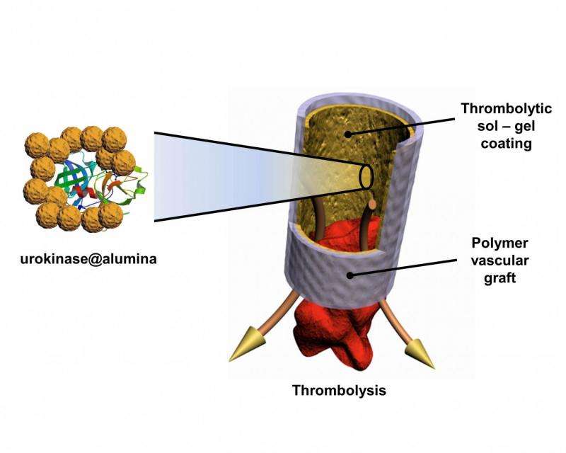 Artificial blood vessels become resistant to thrombosis