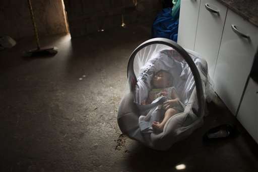 Brazil fears birth defects linked to mosquito-borne virus