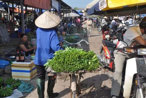 Concentrating sale of vegetables in supermarket no solution for Vietnamese food safety problem