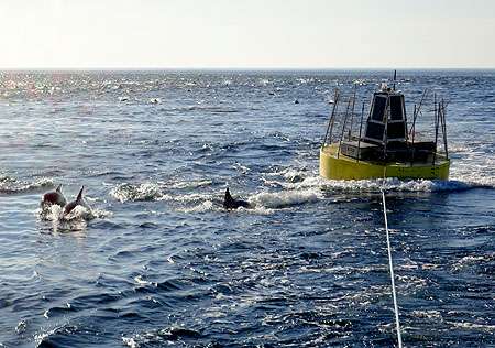 Experimental wave-power buoy survives winter in Monterey Bay