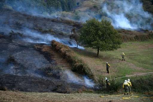 Firefighters work in an area affected by wildfires near the northern Spanish Basque town of Berango on December 28, 2015