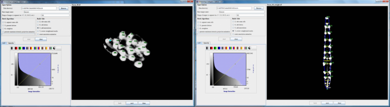 How is a developing brain assembled? 3-D software tracks worm embryo’s brain development