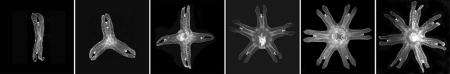 Injured jellyfish seek to regain symmetry