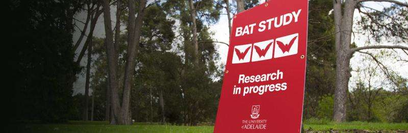 Investigating disease risk from Parklands bats