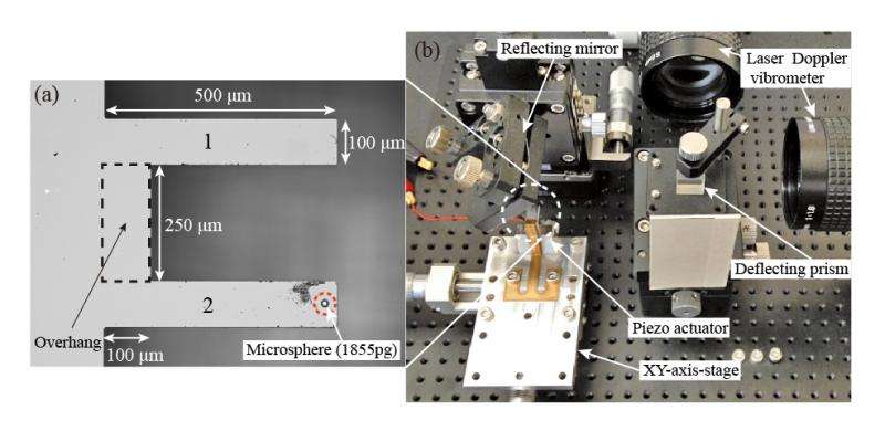 Measuring the mass of molecules on the nano-scale