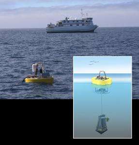 New research finds oceanic microbes behave in synchrony across ocean basins