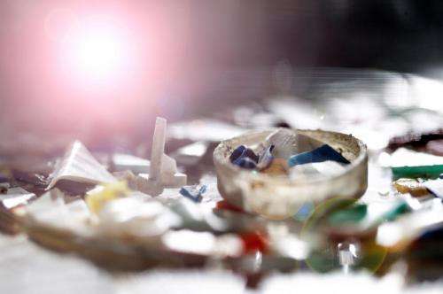New study reveals the global impact of debris on marine life