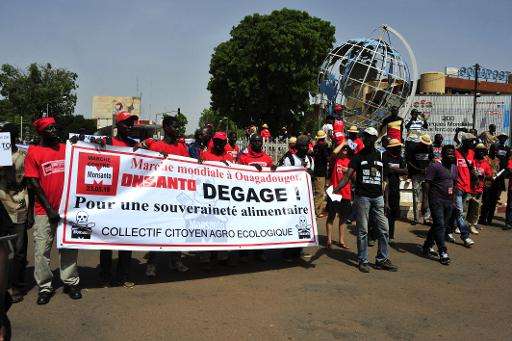 People protest biotechnology giant Monsanto and its genetically modified crops and pesticides on May 23, 2015 in Ouagadougou, Bu