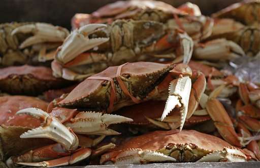 Questions, answers about toxic West Coast crabs