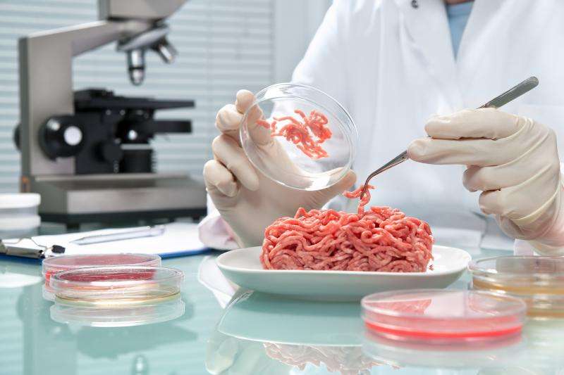 Researcher innovates method that detects pathogens in food in less than 24 hours