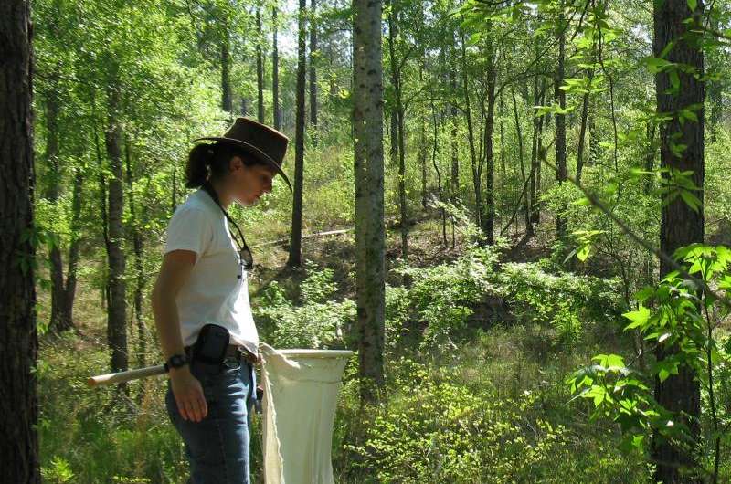 Research links prescribed burning to reduced tick populations