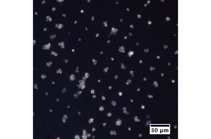 Scientists are developing new sample holders for tiny microcrystals