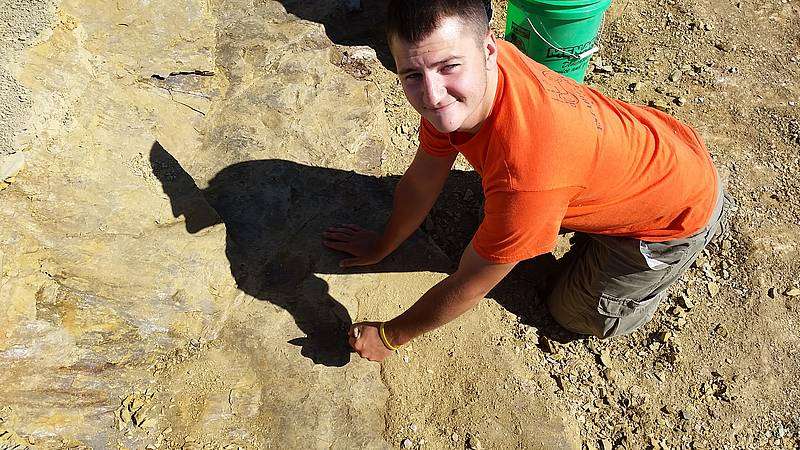 Student makes major fossil find