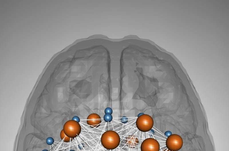 Study finds genetic convergence between cognition and neurodevelopmental disorders
