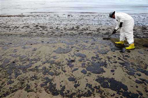 Workers clean up oil spill on California beaches by hand