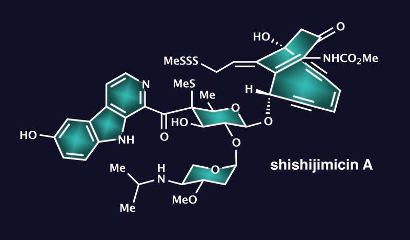 Researchers achieve first total synthesis of cancer-killing shishijimicin A