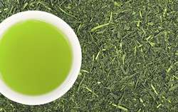 Understanding the beneficial effects of green tea and apples to produce health-promoting polyphenols