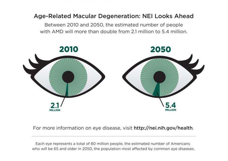 International study reveals new genetic clues to age-related macular degeneration