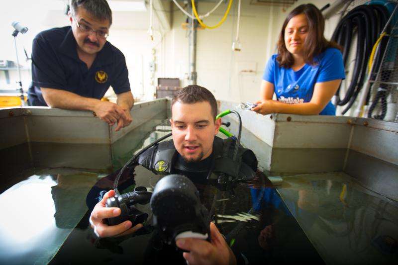 Researchers to study dangers of diver dehydration for U.S. Navy