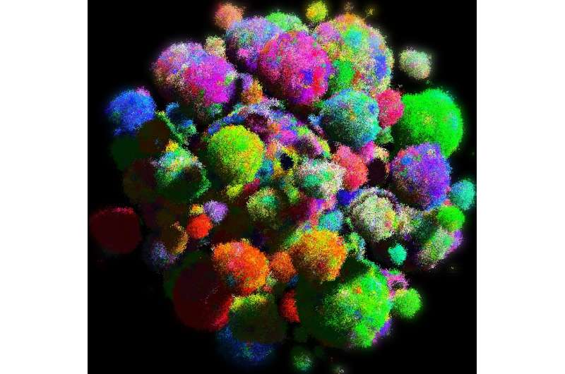 3-D cancer models give fresh perspective on progress of disease