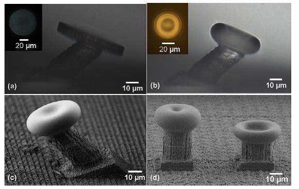 3-D laser printing of whispering-gallery-mode microcavities