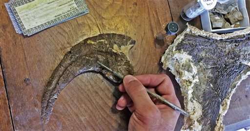 Dakotaraptor ruled Hell Creek Formation as lethal predator