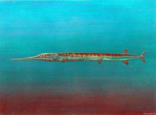 Discovery of two new species of primitive fishes discovered