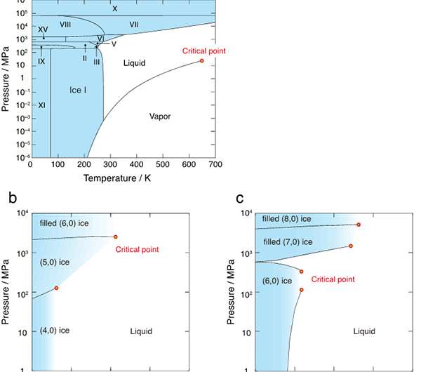 Evidence for solid-liquid critical points of water in carbon nanotubes