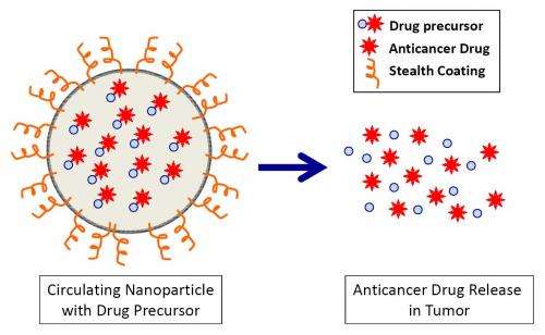 Nanoparticles may exploit tumor weaknesses to selectively attack cancers